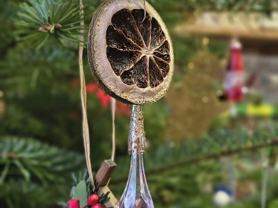 IMG_20251126_124453613_HDR_PORTRAIT